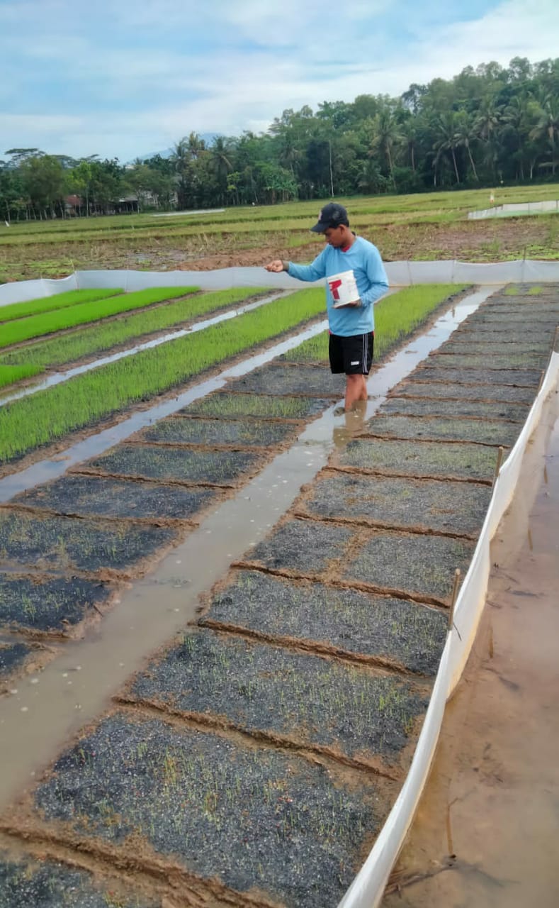 SDN Sidanegara 04: Cultivating Skills in Cilacap's Heart